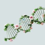A conceptual representation of a DNA helix adorned with pink flowers and green leaves.
